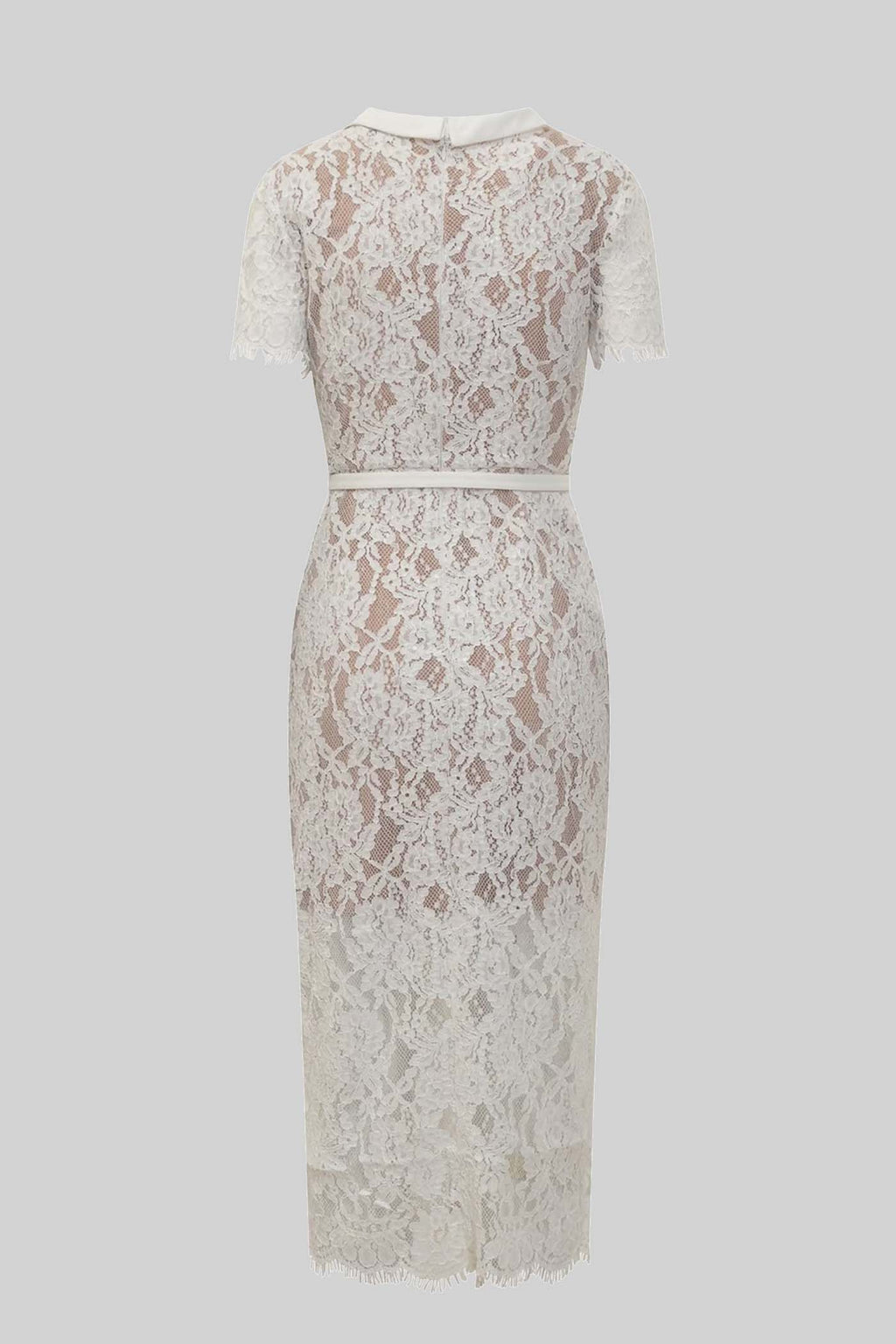 Anastasia Midi